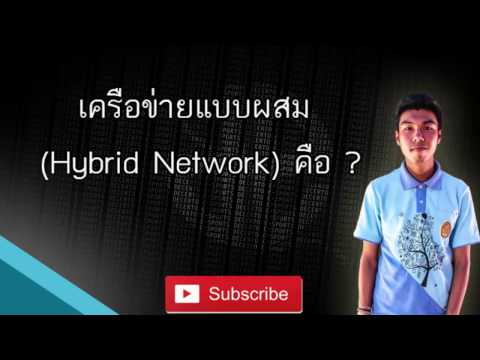 เครือข่ายแบบผสม Hybrid Network